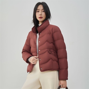 现货2025年冬季新款90白鸭绒盘扣轻薄短款羽绒服女图片