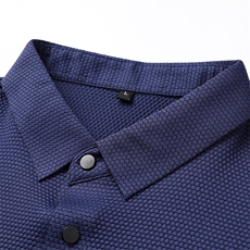 短袖T恤衫男翻领纯色上衣服夏季新款中年男士商务休闲半袖POLO衫，男装T恤，电商B212（原钱塘6029）