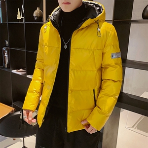 棉衣男潮牌棉服潮流2020年冬季保暖外套棉袄DS569T图片