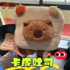 卡皮吐司,酷仔熊熊毛绒玩具 卡皮吐司,酷仔熊熊毛绒玩具