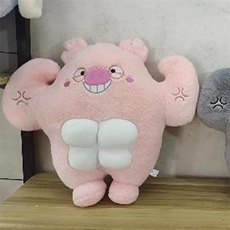 泽涵毛绒玩具 十五寸大力士1