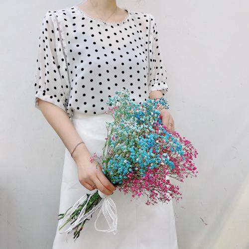 现货，经典小圆点双邹小衫，女装，七彩名