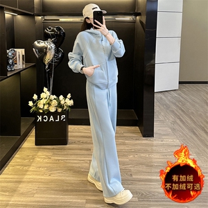 时尚休闲运动套装女春新款洋气减龄气质拉链连帽卫衣直筒裤两件套图片