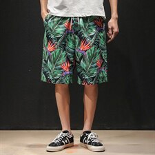K392 芭蕉叶