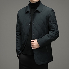 冬季外套男棉衣中年商务翻领棉服休闲上衣爸爸装棉袄A9601-P165，男装棉衣，电商B212（原钱塘6029）