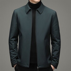 冬季棉衣男中年翻领休闲棉服中青年冬季厚爸爸装DFLDM16001-P185，男装棉衣，电商B212（原钱塘6029）