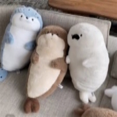 白色海狮