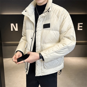 2025新标90白鸭绒高品质店主风纯色休闲羽绒服男外套23803-P260图片