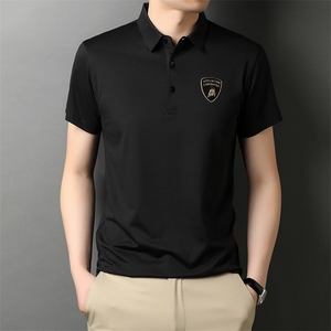 AT2249钱塘2020-3夏季男士高端翻领短袖精品T恤P56图片