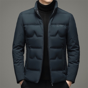 2023冬季休闲男士羽绒服青年男装加厚保暖90%白鸭绒ZL6701-P215图片