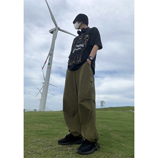 B221美式ins街头hiphop宽松工装休闲裤子LK23122-P65控88，男装休闲裤，电商B221