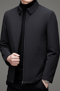 21新款中年鹅绒内胆羽绒服翻领男休闲商务冬装外套HM9887-P255图片