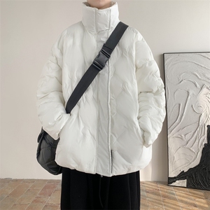 新款羽绒棉服男士秋冬韩版潮流简约  J851 P100图片