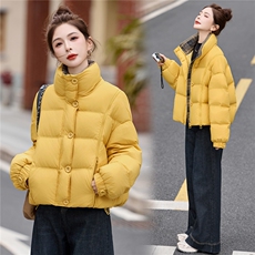 2025年冬季常规无帽立领双拉链90白鸭绒羽绒服，女装羽绒服，艾尚靓装