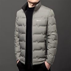 男轻薄羽绒服冬季新款立领休闲保暖短款加厚羽绒衣潮服外套男装，男装羽绒服，钱塘6003（原4033）