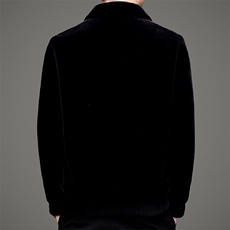 秋冬外套男士金貂绒夹克翻领商务休闲刺绣外套男SNNJDR11820-P340，男装夹克，电商B212（原钱塘6029）