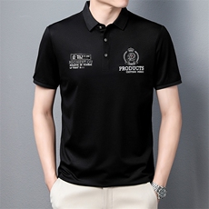 2023夏季新款中青年男装翻领商务休闲polo时尚百搭宽松保罗衫男装，男装T恤，电商B212（原钱塘6029）