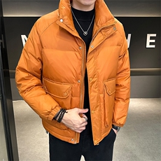 2025冬季新款立领羽绒服纯色休闲潮牌帅气大口袋保暖YR8023-P185，男装羽绒服，电商A413
