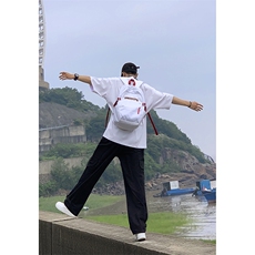 B221美式ins街头hiphop宽松休闲多口袋工装裤子LK23120-P65控88，男装休闲裤，电商B221