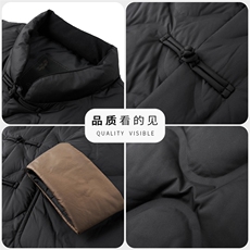 冬季白鸭绒唐装羽绒服保暖休闲男士简约立领短款外套时尚防寒男，男装羽绒服，钱塘6003（原4033）