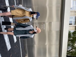 秋季新款衬衫带披肩两件套图片