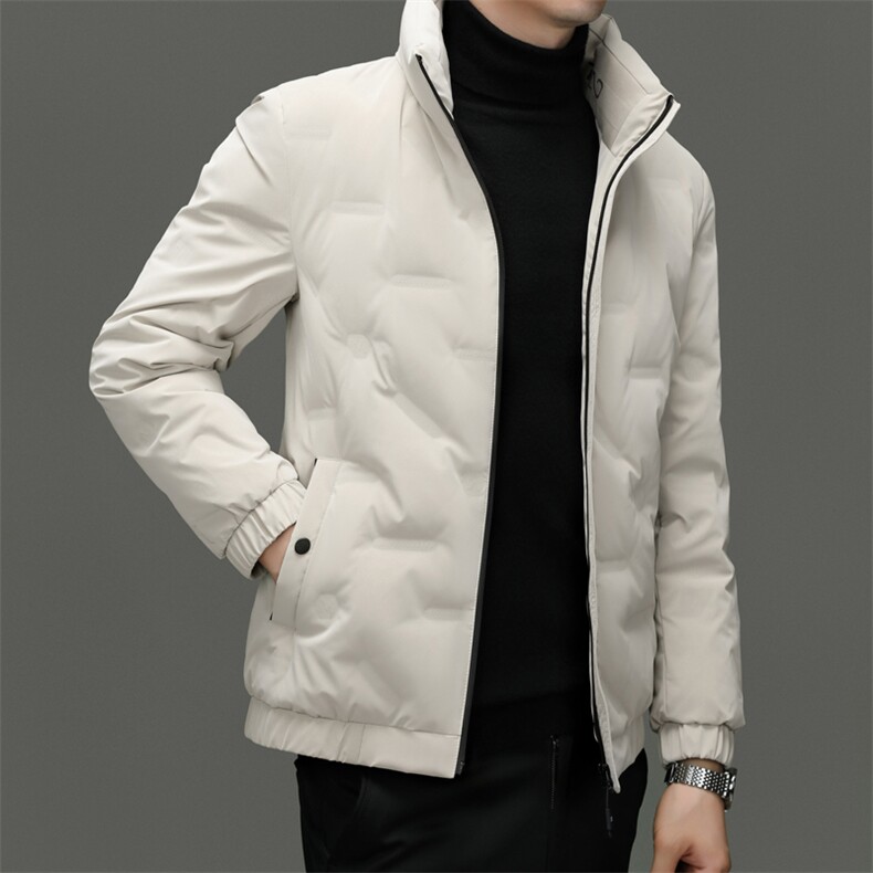 BZC2368钱塘2020-2新款时尚休闲简约冬季厚款中年男士羽绒服P170,男装羽绒服,钱塘207-2