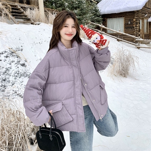现货：冬季新款复古立领休闲面包羽绒服50绒2C135-8958P285K428图片