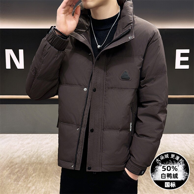 DS-A225标2025冬季新款男士立领时尚潮流白鸭绒羽绒服夹克图片