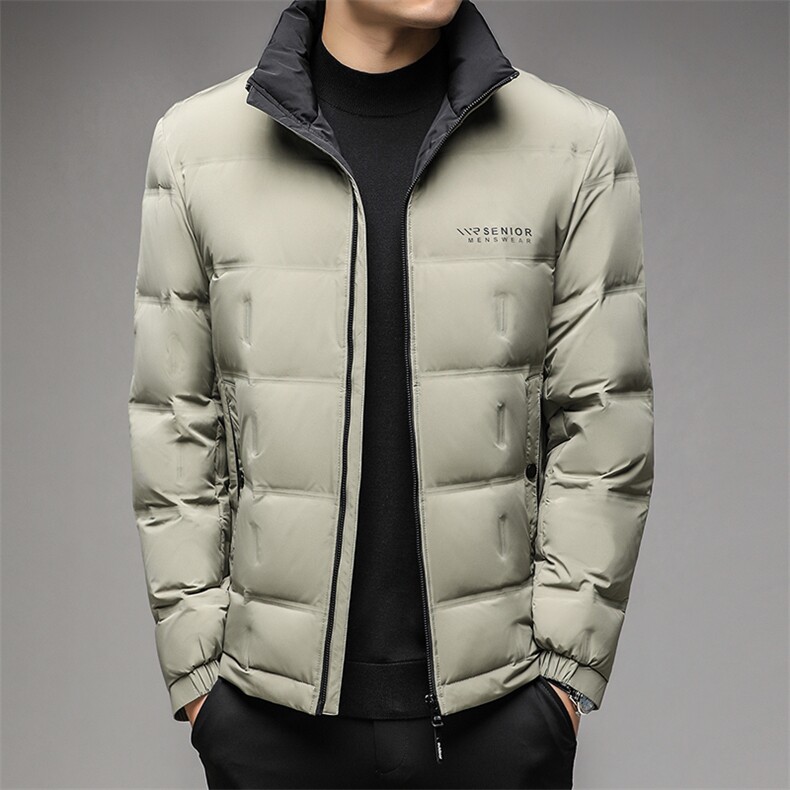 ANY22019钱塘2020-3秋冬新款男士简约休闲立领羽绒服外套P230图片