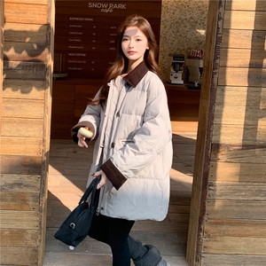 有货-90白鸭绒B109-9905-335-458图片
