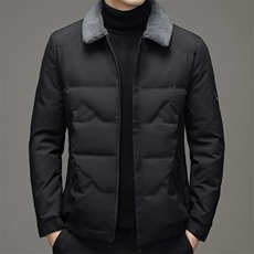 Q2066钱塘2020-2中年男士冬季厚款翻领百搭简约时尚羽绒服P200，男装羽绒服，钱塘207-2