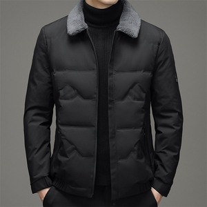 Q2066钱塘2020-2中年男士冬季厚款翻领百搭简约时尚羽绒服P200图片