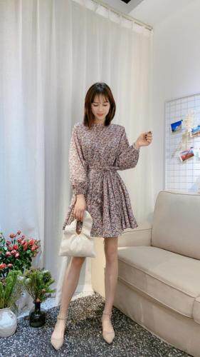 迪诺比亚 DNBY105218