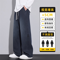 裤子男秋季2025新款潮流百搭宽松直筒显高松紧腰休闲裤Z2577-P50，男装休闲裤，星座509