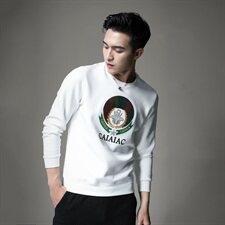 男圆领卫衣刺绣工艺个性潮时尚秋冬男标准码货号6011-1，男装卫衣，钱塘6007(原2006)