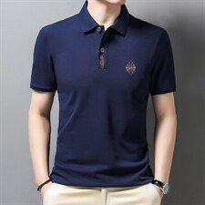 短袖T恤男薄款翻领上衣夏季中年男士休闲宽松潮流百搭POLOT恤衫，男装T恤，电商B212（原钱塘6029）