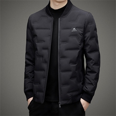 秋冬立领羽绒服男士潮流休闲棒球服青年外套轻薄保暖高端上衣男装，男装羽绒服，钱塘6003（原4033）