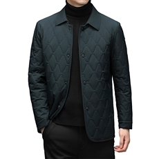 棉衣男士冬季宽松休闲翻领棉袄厚款羽绒棉服外套SNNMF20218-P185，男装棉衣，电商B212（原钱塘6029）