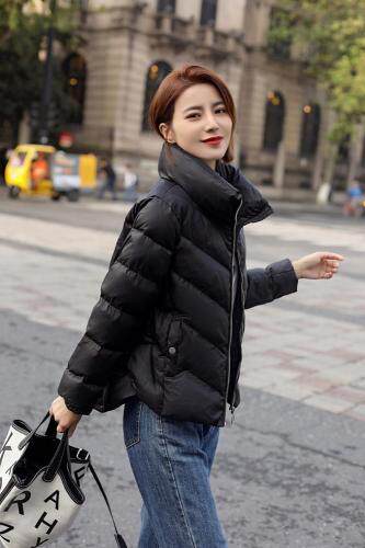 冬装棉衣，女装棉衣/棉服，琪轩蔓莎