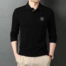 春秋季男士套头卫衣2023新款翻领刺绣潮流中年打底衫时尚长袖T恤，男装卫衣，电商B212（原钱塘6029）