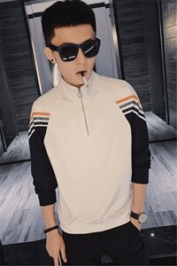 秋装新款长袖立领卫衣精神社会小伙织带拼色卫衣C301B-WY19图片