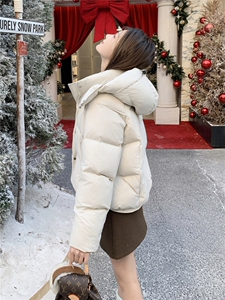 现货新款2178-P275-K399羽绒服白鸭绒图片
