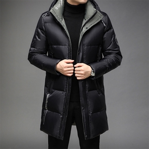 B28826钱塘2020-3鹅绒精品男士羽绒服数据好主推P375图片