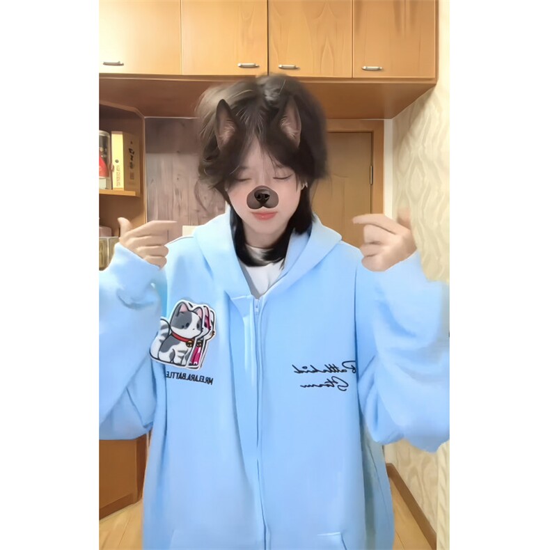 WE1742-P55美式刺绣小猫魔术贴连帽开衫卫衣,男装卫衣,电商B323A