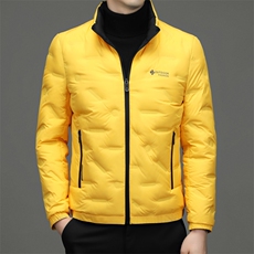 BZL2198钱塘2020-2秋冬中年男士立领休闲羽绒服外套量大价优P190，男装羽绒服，钱塘207-2