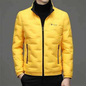 BZL2198钱塘2020-2秋冬中年男士立领休闲羽绒服外套量大价优P190图片