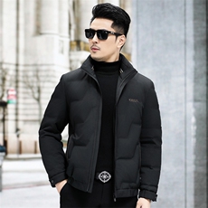 B9807钱塘2020-3商务休闲冬季厚款立领新款中年男士羽绒服P198，男装羽绒服，钱塘207-3