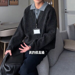 秋冬季翻领毛衣男宽松潮流长袖纯色翻领针织衫图片
