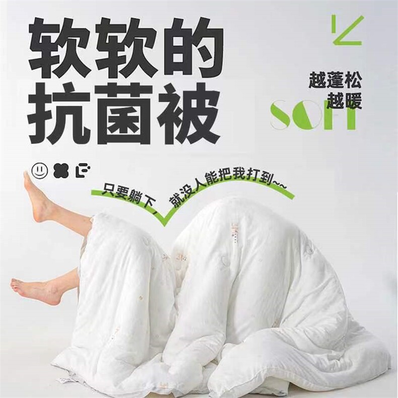 新款抗菌冬被春秋被子被芯，被套/被芯，一起卖家纺