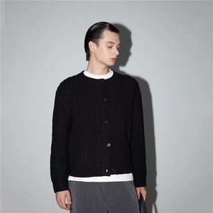 潮流流行秋冬衣服商务时尚圆领毛衣开衫针织衫上衣男装日系气质图片